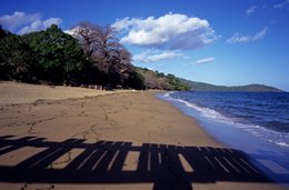 Baobab;-Beach;-Comoros-Archipelago;-Cracked-sand;-Fence;-France;-Indian-Ocean;-Kaleidos;-Kaleidos-images;-La-parole-à-limage;-Laurent-Abad;-Mayotte;-Sand;-Sea;-Shadow;-Stories-Pictures